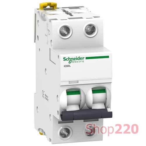 Автоматический выключатель 2А, 2 полюса, кривая C, IC60L Acti9 Schneider Electric - фото 106019