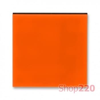 Накладка кнопочного диммера, оранжевый, Levit ABB 3299H-A00100 66 - фото 61558