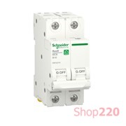 Автоматический выключатель 16А, 2 полюса, уставка В, Resi9 R9F02216 Schneider Electric