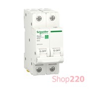 Автоматический выключатель 40А, 2 полюса, уставка В, Resi9 R9F02240 Schneider Electric