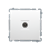 Розетка одинарная TV, белый, Basic Simon - фото 89757
